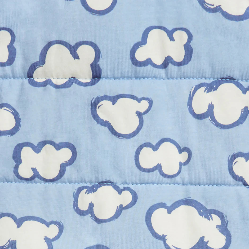 Love to Dream Sleep Bag 2.5 Tog